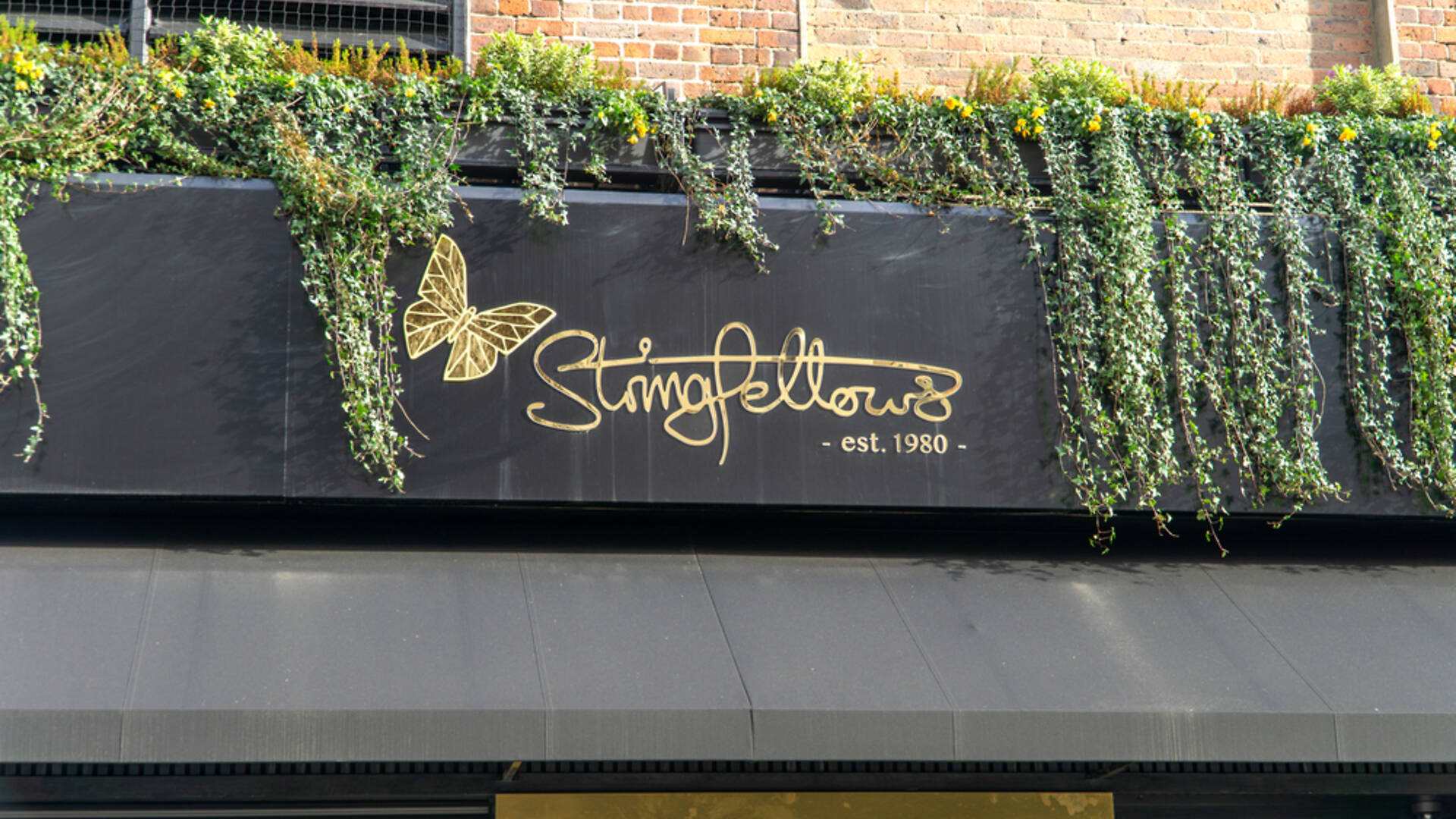 Famous London Strip Club Stringfellows Is Set to Open a New Venue