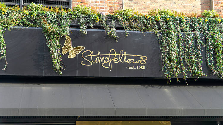 Stringfellows, London Stringfellows, London