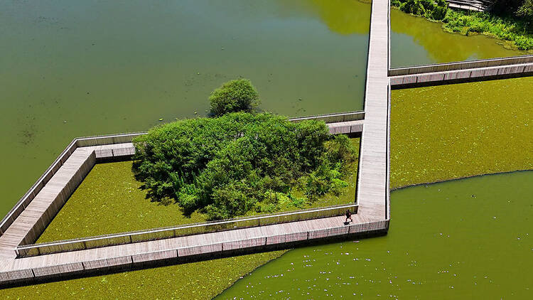 Reserva Ecológica Costanera Sur