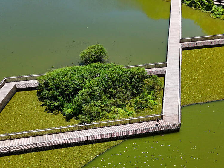 Reserva Ecológica Costanera Sur