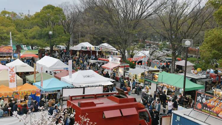 東京で花見×音楽、桜と楽しむイベント4選