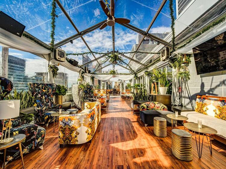 Monarch's Oscar Viewing Party