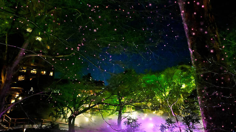 夜桜雲海