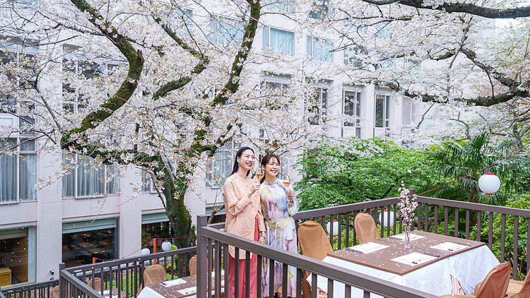 高輪 桜まつり 高輪 桜まつり