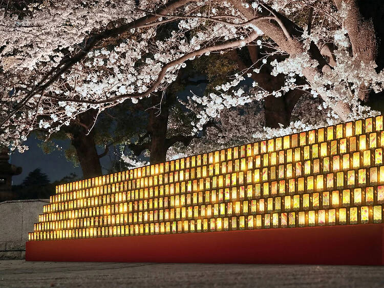 御殿山さくらまつり