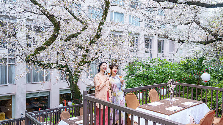 Takanawa Sakura Festival
