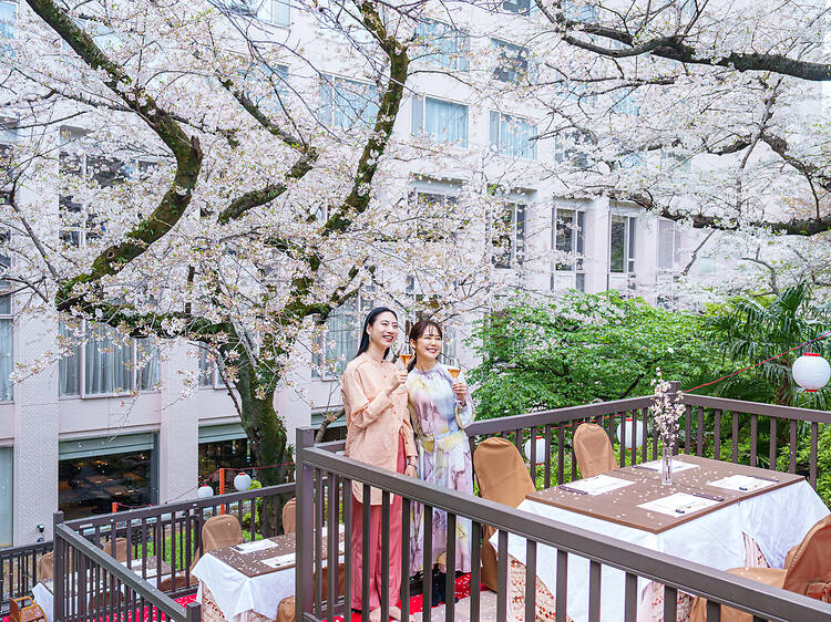Takanawa Sakura Festival
