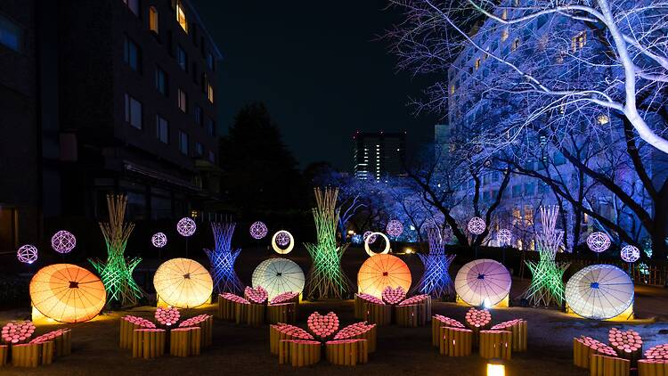 Takanawa Sakura Festival
