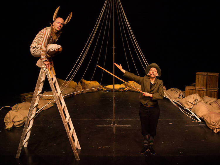 Pinocchio, una historia delirante