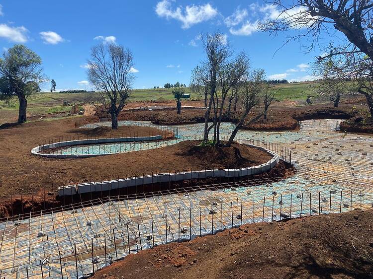 A giant labyrinth is coming to the Midlands (possibly the world’s biggest!)