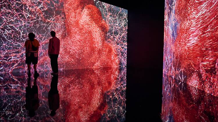 Flesh and Bones: The Art of Anatomy