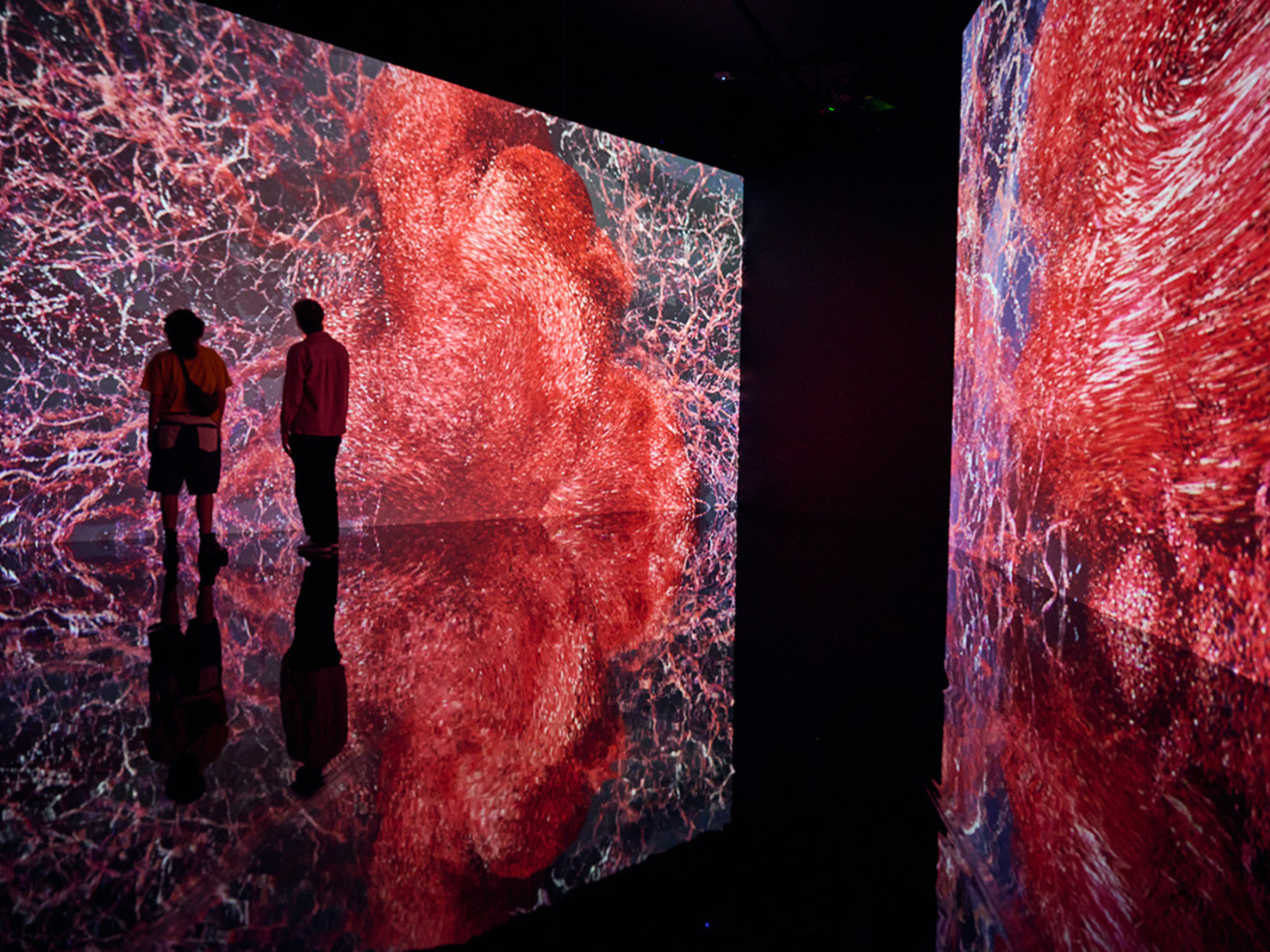 Flesh and Bones: The Art of Anatomy