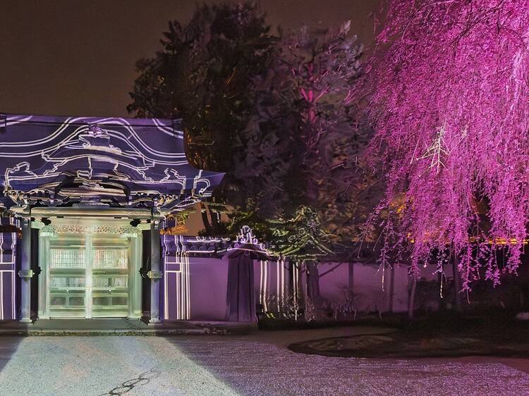 Kodaiji Temple: Spring Night Special Viewing