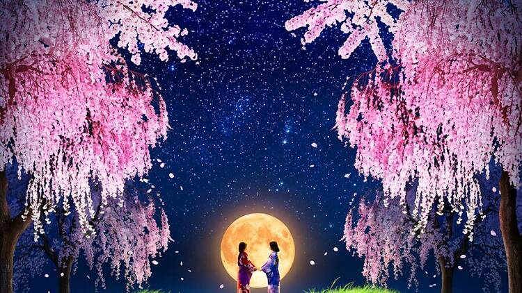 Kodaiji Temple: Spring Night Special Viewing