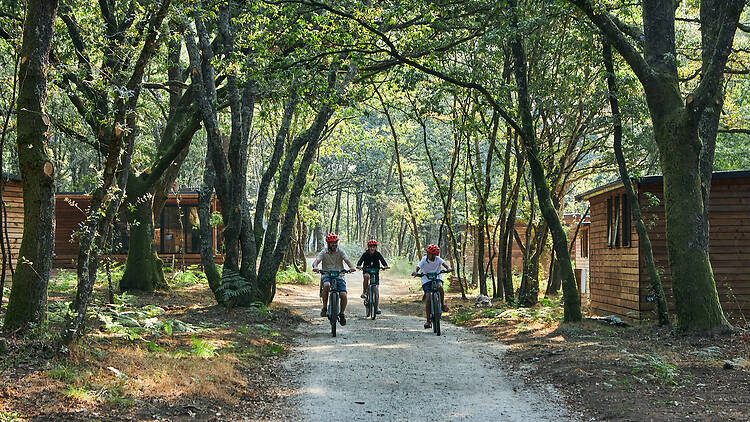 Pontevedra: una pausa en el Camino de Santiago