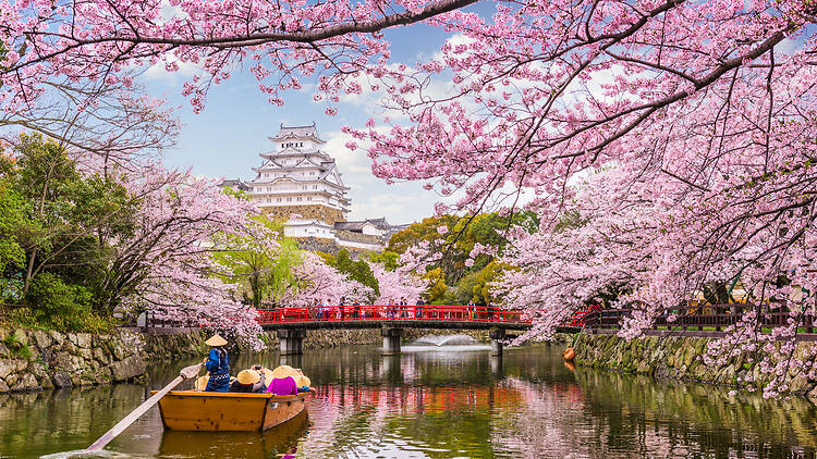 Himeji Castle, Hyogo