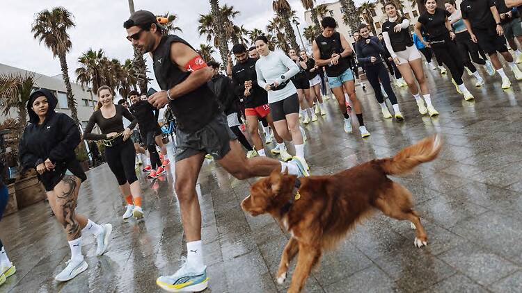 'After marathon Party' y más