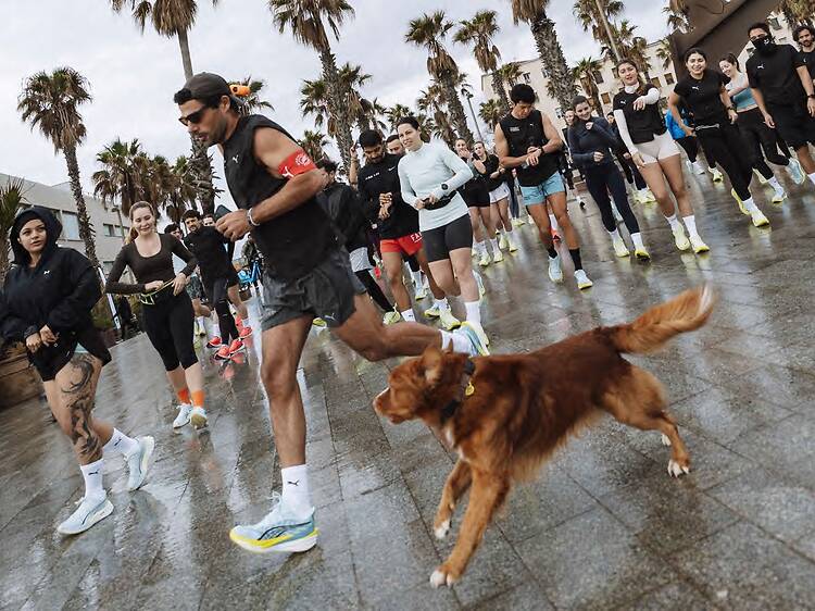 'After marathon Party' y más