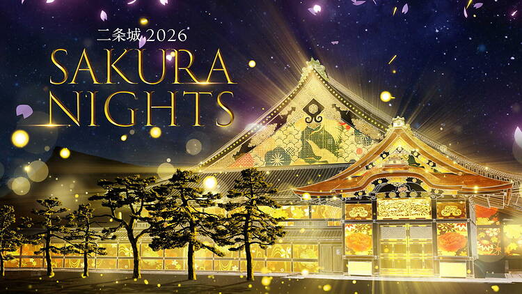 Nijo Castle 2026 Sakura Nights