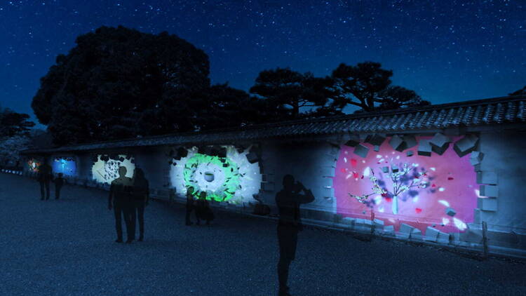 Nijo Castle 2026 Sakura Nights