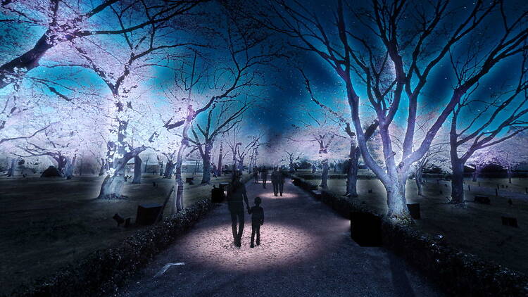 Nijo Castle 2026 Sakura Nights