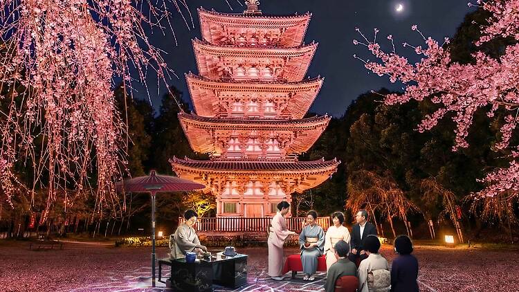 Naked meets World Heritage Daigoji: Daigo Hanami