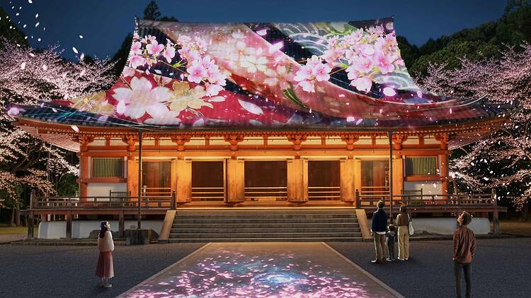 Naked meets World Heritage Daigoji: Daigo Hanami