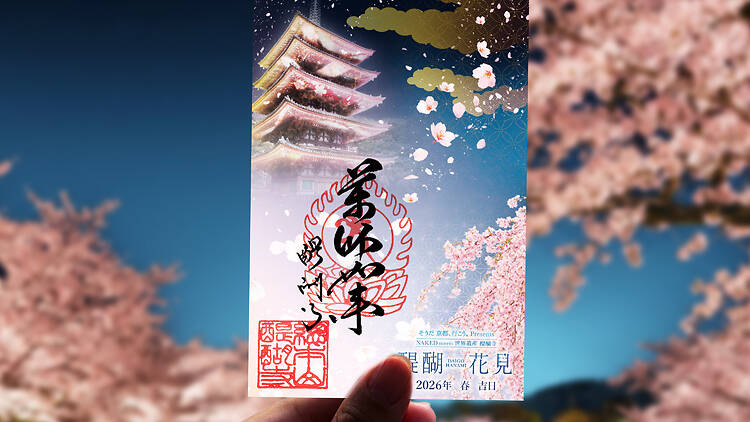 Naked meets World Heritage Daigoji: Daigo Hanami