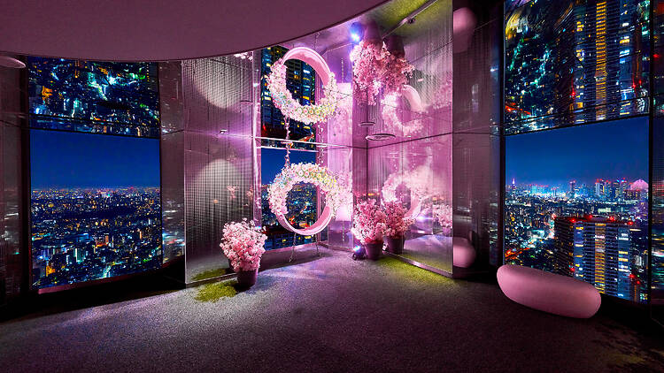 Tembo Park Sakura Festival