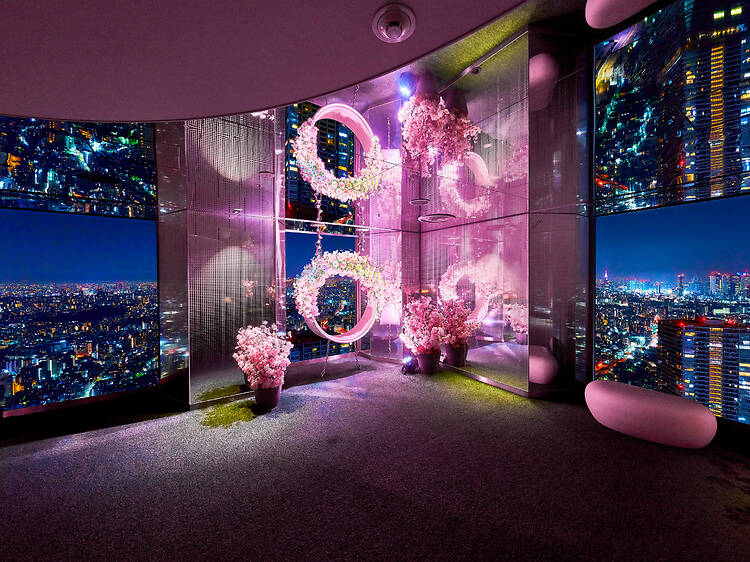 Tembo Park Sakura Festival