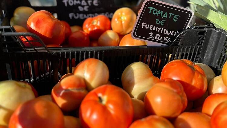 Mercado de Productores Villa de Vallecas Mercado de Productores Villa de Vallecas