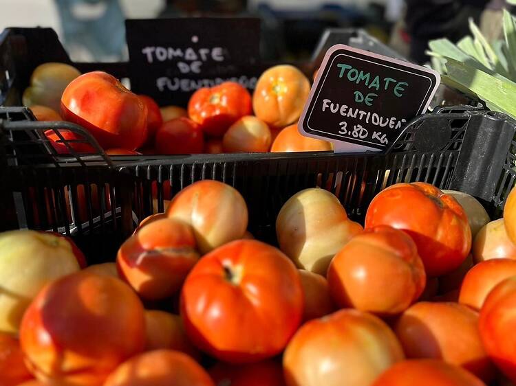 Cervezas artesanales, verduras de huerto o quesos de Menorca: los productos más frescos protagonizan la nueva edición de este mercadillo Cervezas artesanales, verduras de huerto o quesos de Menorca: los productos más frescos protagonizan la nueva edición de este mercadillo
