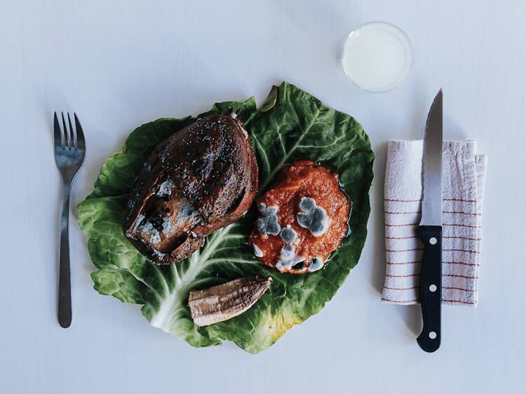 Há muita “Natureza-morta” para ver na Avenida de Ceuta