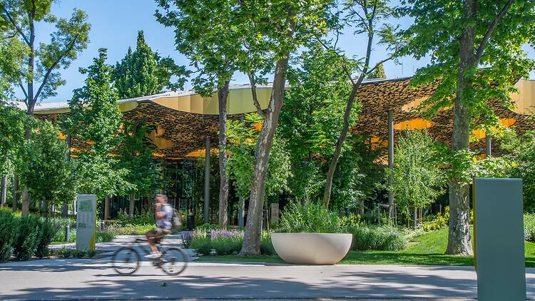 Városliget park Magyar Zene Háza a háttérben