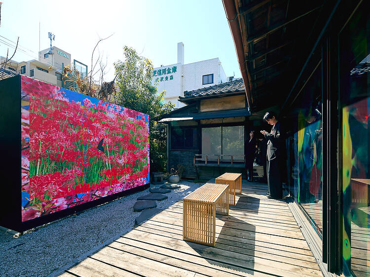 mirror, mirror, mirror mika ninagawa mirror, mirror, mirror mika ninagawa