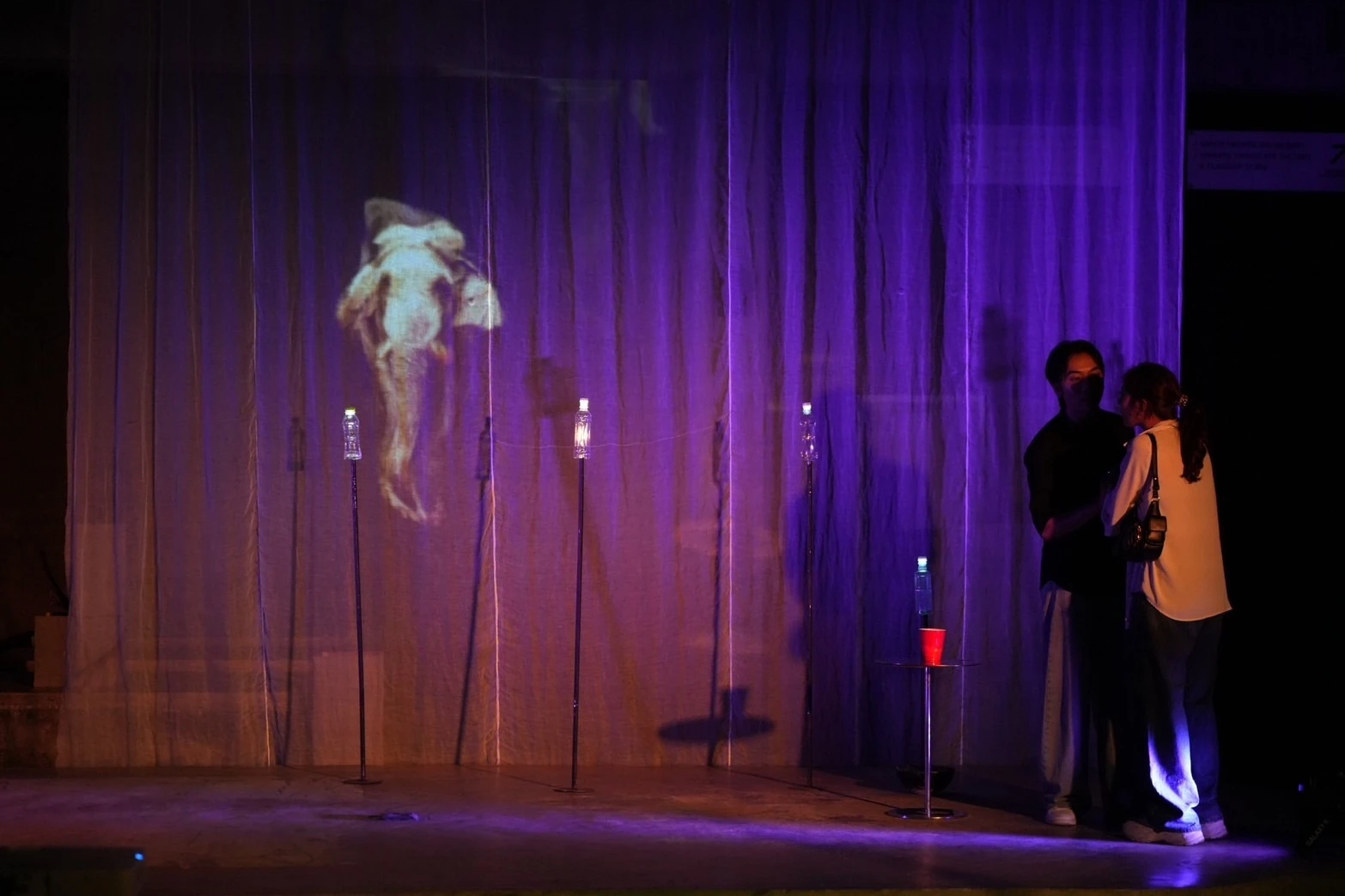 Lakorn White Elephant Project