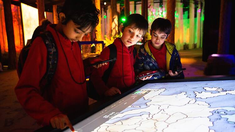 Vikings: The Immersive Experience at Dock X