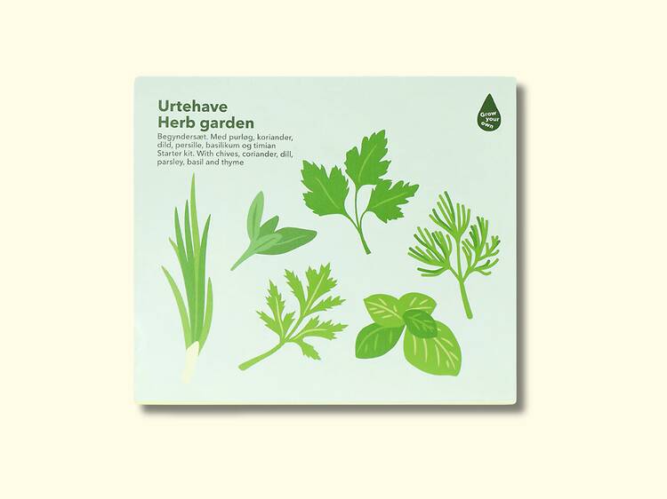 Uma caixa de sementes