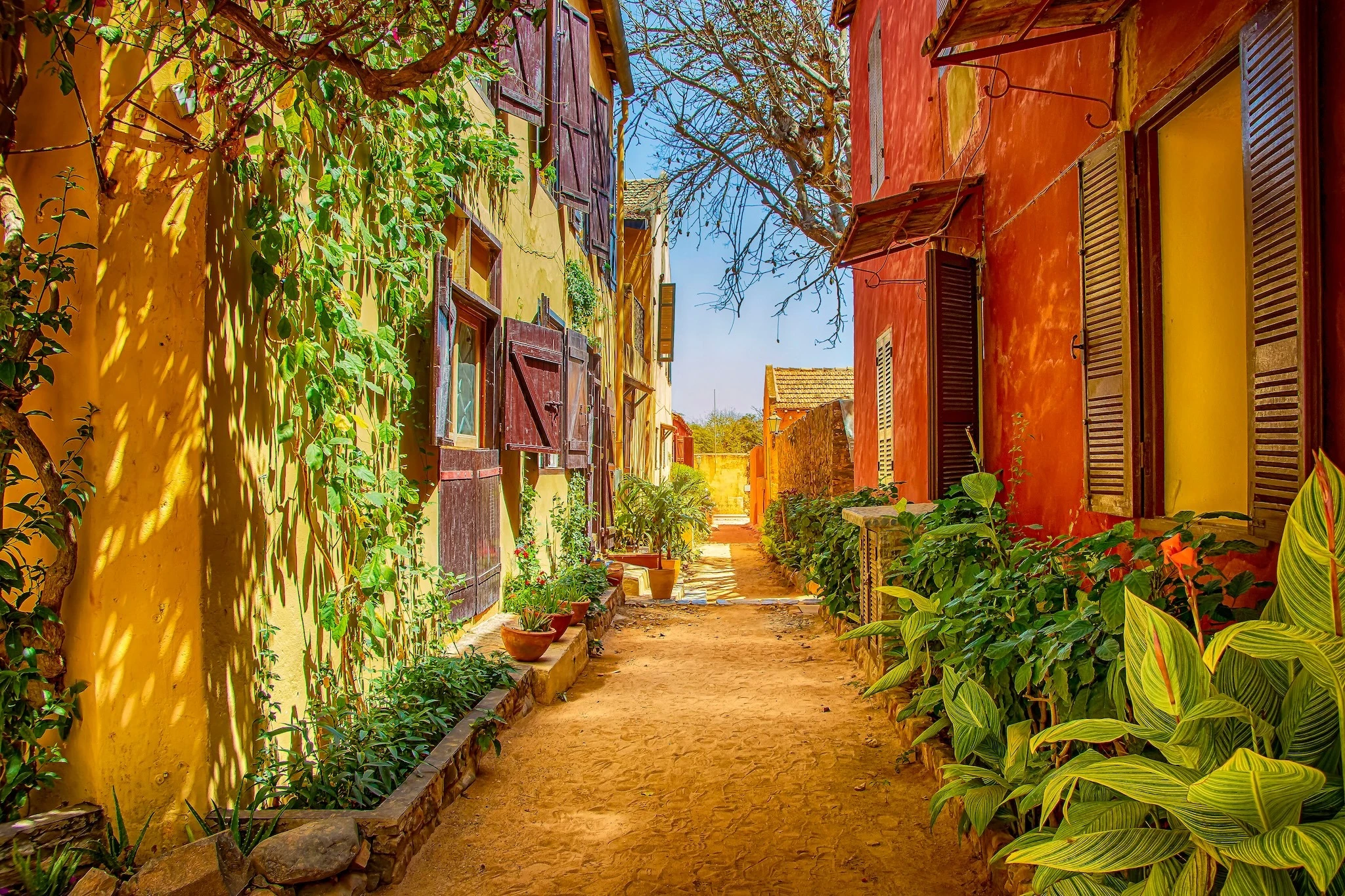 Street on Gor&eacute;e island, Senegal, Africa