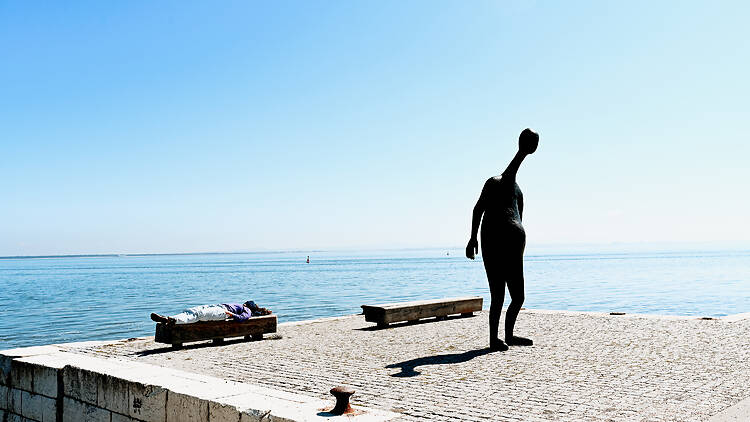 'Estúpidos', de Robert Panda 'Estúpidos', de Robert Panda