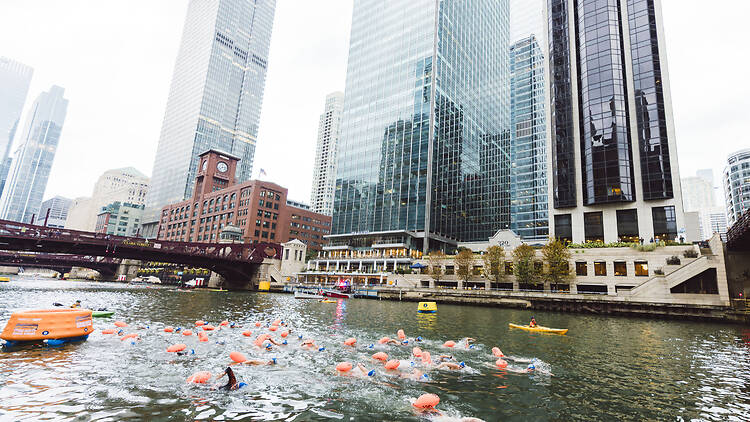 chicago river swim