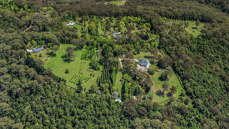 Mount Wilson Blue Mountains Mount Wilson Blue Mountains