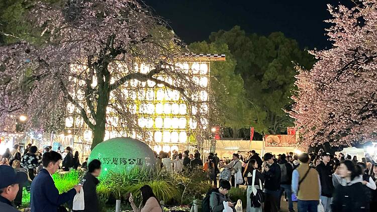 Ueno Sakura Festival