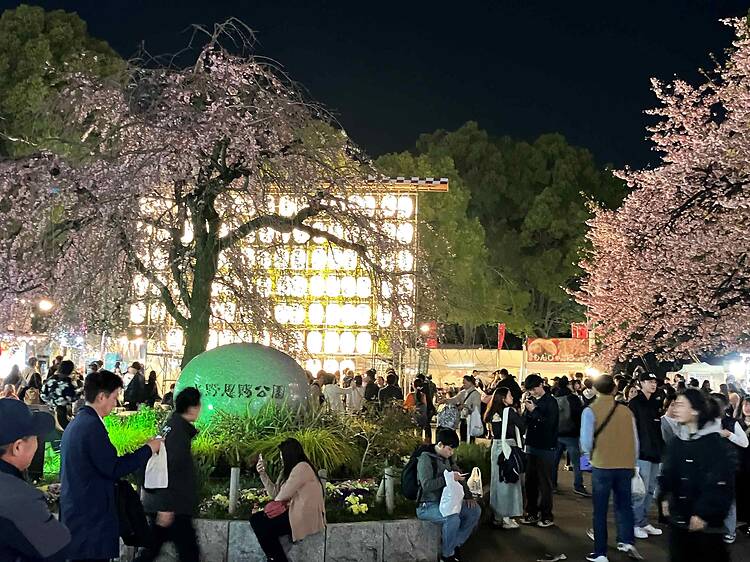 Ueno Sakura Festival