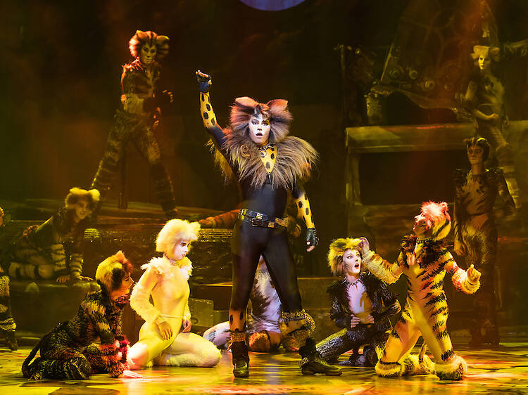 World-renowned musical Cats returns to Hong Kong this August