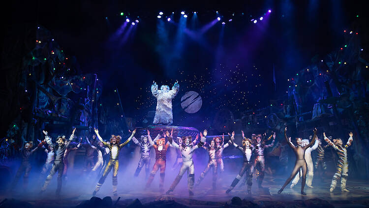 cats the musical cats the musical
