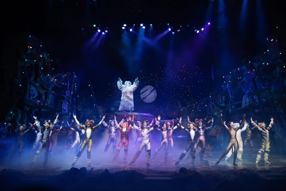 cats the musical