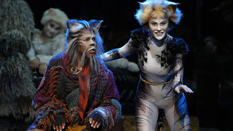 cats the musical cats the musical