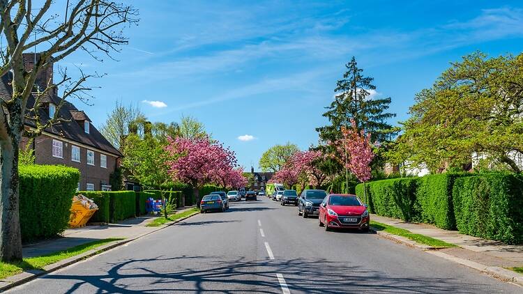 Street in Hampstead Garden Suburb, London Street in Hampstead Garden Suburb, London