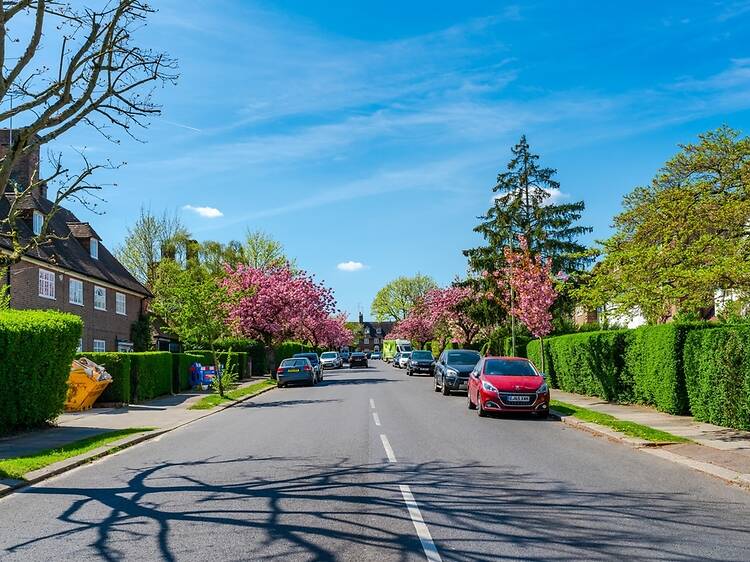 Revealed: the most expensive street in London in 2026